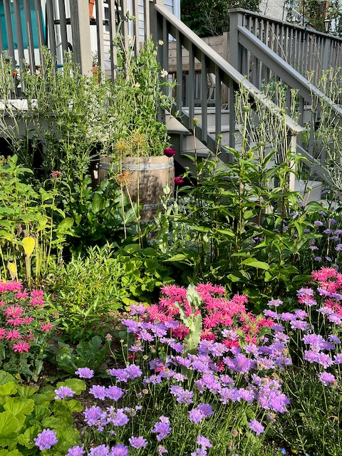 Bee Balm And Garden Planting
Garden Design
Calimesa, CA
