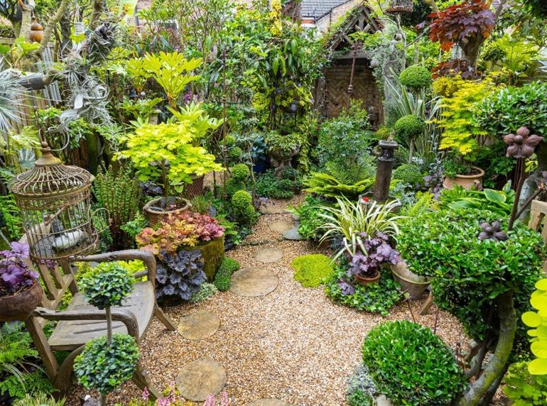 Colorful UK foliage garden