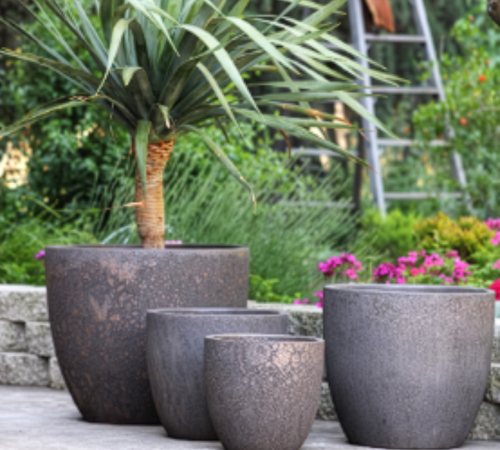 Containers
Garden Design
Calimesa, CA