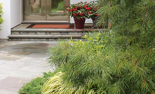 Modern Garden Deer Country
Small Garden Pictures
Johnsen Landscapes & Pools
Mount Kisco, NY