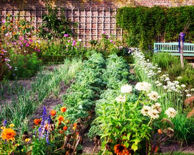 Organic Vegetable And Flower Garden, Organic Garden
"Dream Team's" Portland Garden
Shutterstock.com
New York, NY