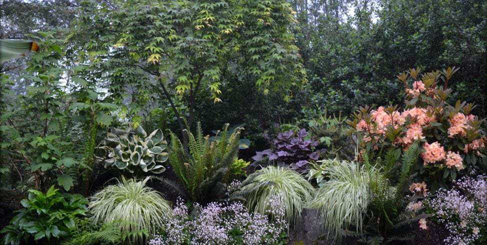Seattle, Japanese Maple
Garden Design
Calimesa, CA