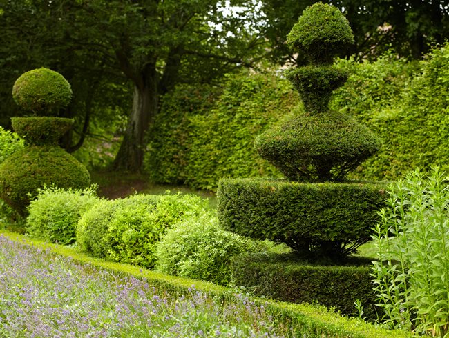 Topiary
Garden Design
Calimesa, CA